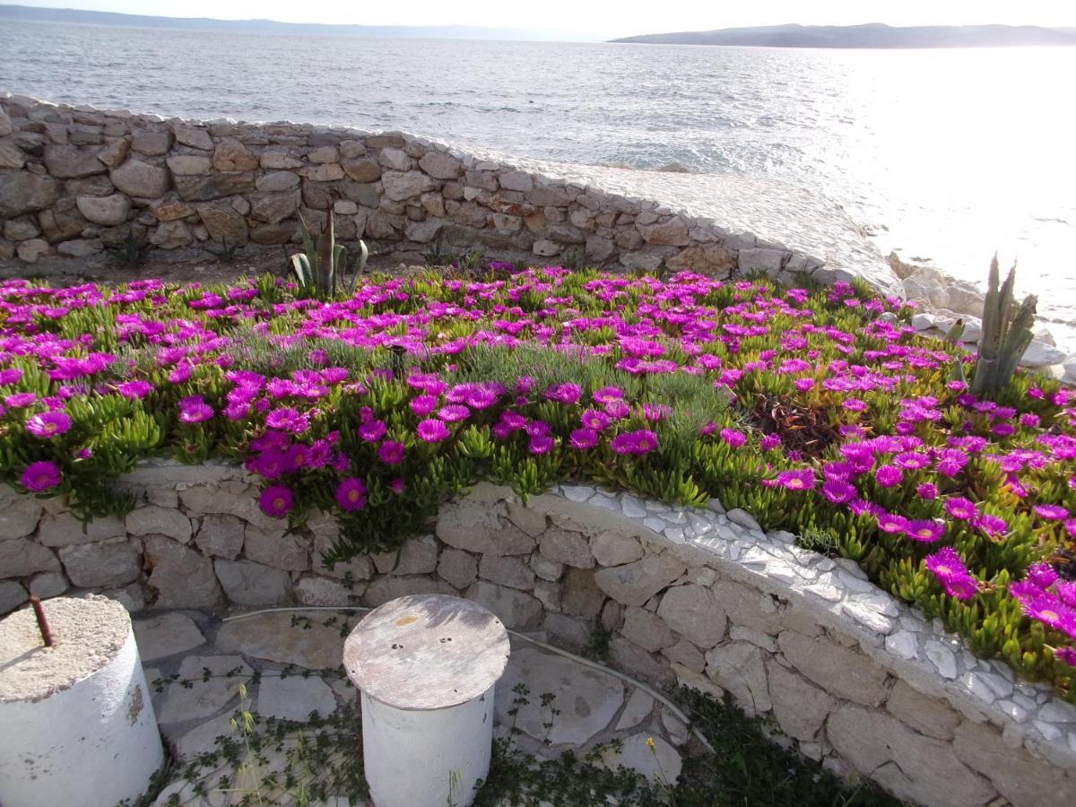 Pura Vida Makarska Apartment Ngoại thất bức ảnh